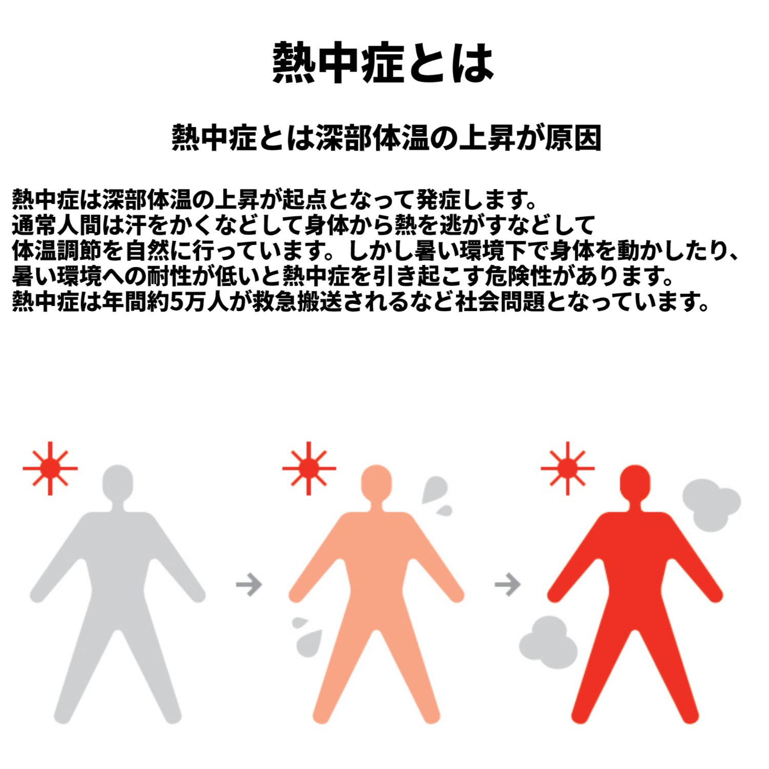 2025年最新モデル 熱中対策ウォッチ バイオデータバンク カナリアPlus 熱中症対策 NETIS登録商品 防水IP67 5ケ月使い切り