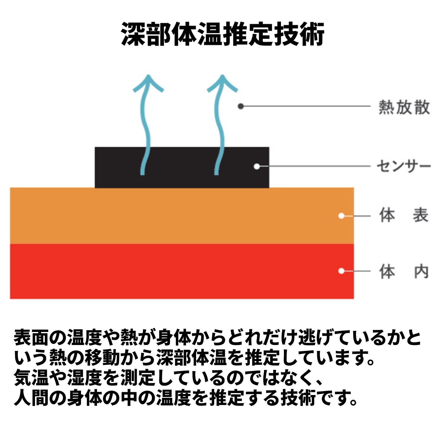 2025年最新モデル 熱中対策ウォッチ バイオデータバンク カナリアPlus 熱中症対策 NETIS登録商品 防水IP67 5ケ月使い切り