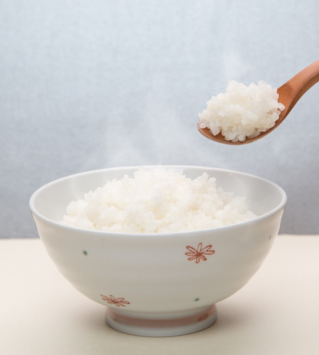 レスキューライス 18食セット(6種×各3食)  非常食 保存食 備蓄品 防災用品 海外旅行 登山 アウトドア アルファ米 7年保存