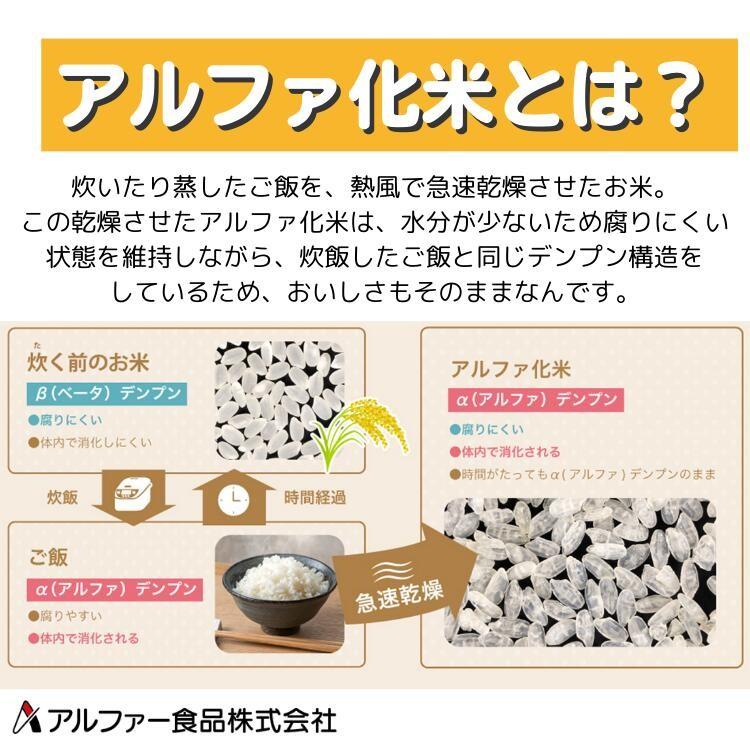 非常食 5年保存 備えて安心 お米の18食セット(2人×3日分) 非常食セット アレルギー対応 アルファ米 防災 食品 長期保存 米 備蓄 保存食 防災食 白米 安心米