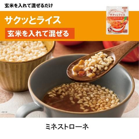 非常食 5年保存 備えて安心 お米の18食セット(2人×3日分) 非常食セット アレルギー対応 アルファ米 防災 食品 長期保存 米 備蓄 保存食 防災食 白米 安心米